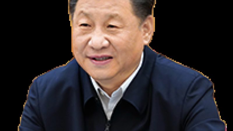 电子化学品助剂：行业标准揭秘与关键要素